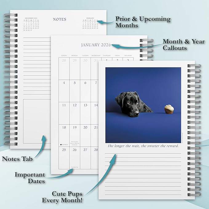 Dogma 2026 Weekly & Monthly Planner, 12-Month Calendar Book with Funny Dog Photography: A Dog’s Guide to Life, 2026