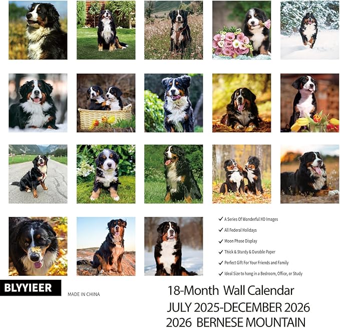 2026 Wall Calendar,Bernese Mountain Wall Calendar, 12" x 24" Open,Family Planner Calendar Organizer with Bernese Mountain dog Images, for Dogs Lovers