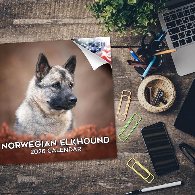 Norwegian Elkhound Calendar 2026 by MegaCalendars – Monthly Dog Breed Wall Calendar, Made in USA