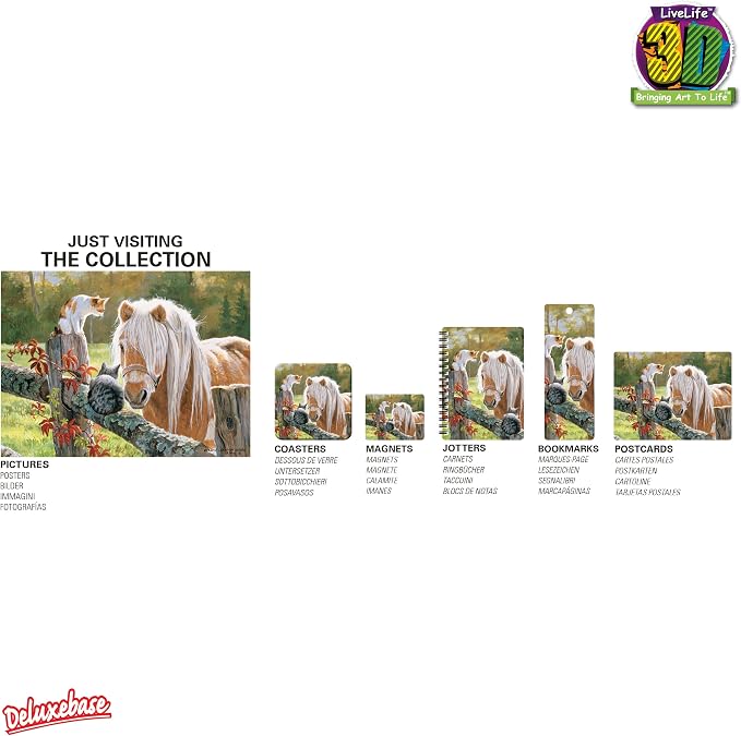 3D LiveLife Bookmark - Just Visiting from Deluxebase. Cute Lenticular Horse Page Marker. Animal Themed Accessories for Book Lovers. Small Gifts for Men, Women, Writers and Teachers.