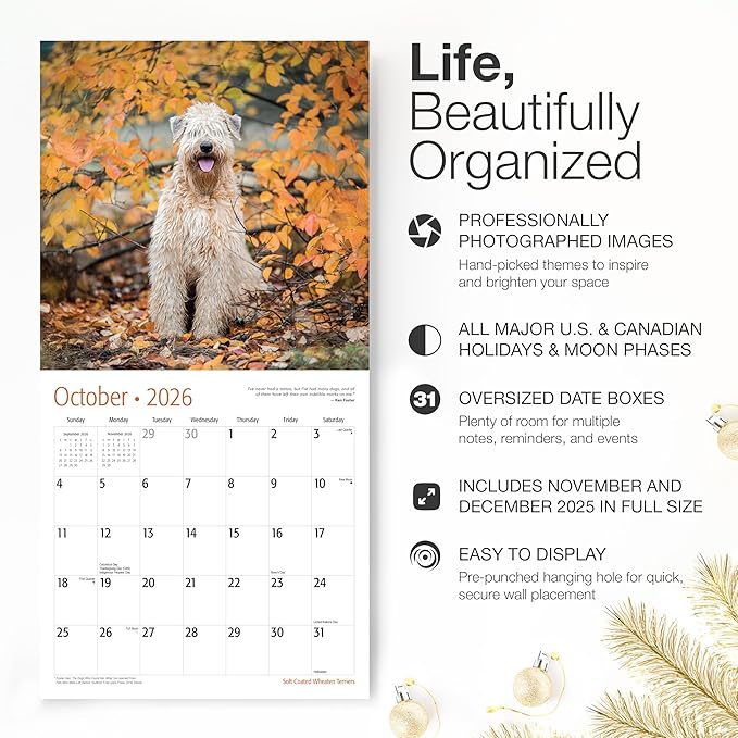 RED EMBER Soft Coated Wheaten Terriers 2026 Wall Calendar 12 Month | 12" x 24" Open | Thick & Sturdy Paper | Giftable | Cute Puppy Dog Calendar 2026