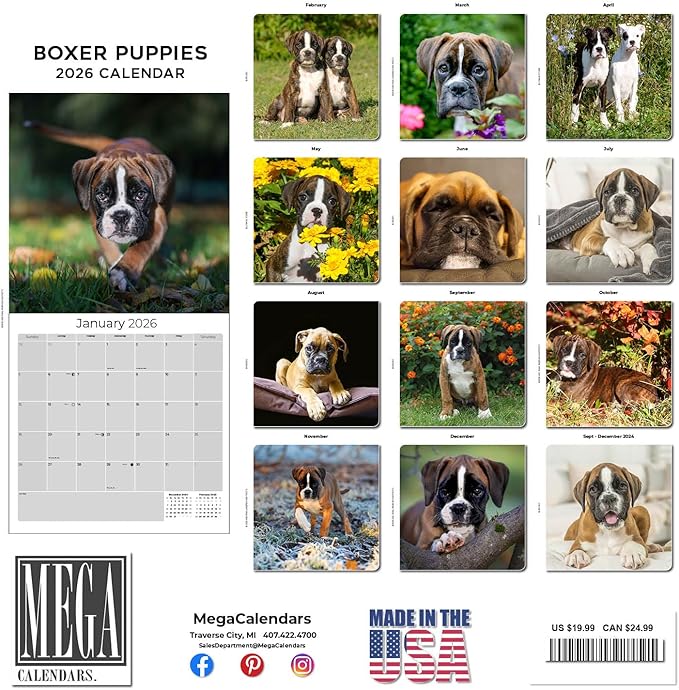 Boxer Puppies Calendar 2026 – 16-Month Dog Breed Wall Calendar by MegaCalendars – Large Daily Blocks, Thick No-Bleed Paper, Made in USA