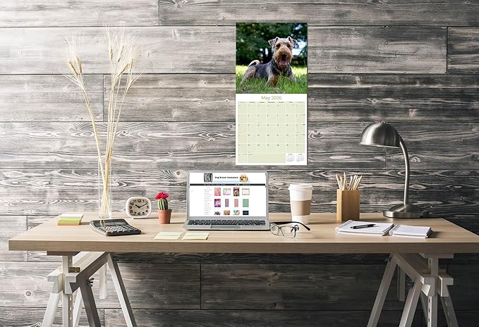 Airedale Calendar 2026 by MegaCalendars – Monthly Dog Breed Wall Calendar, Made in USA