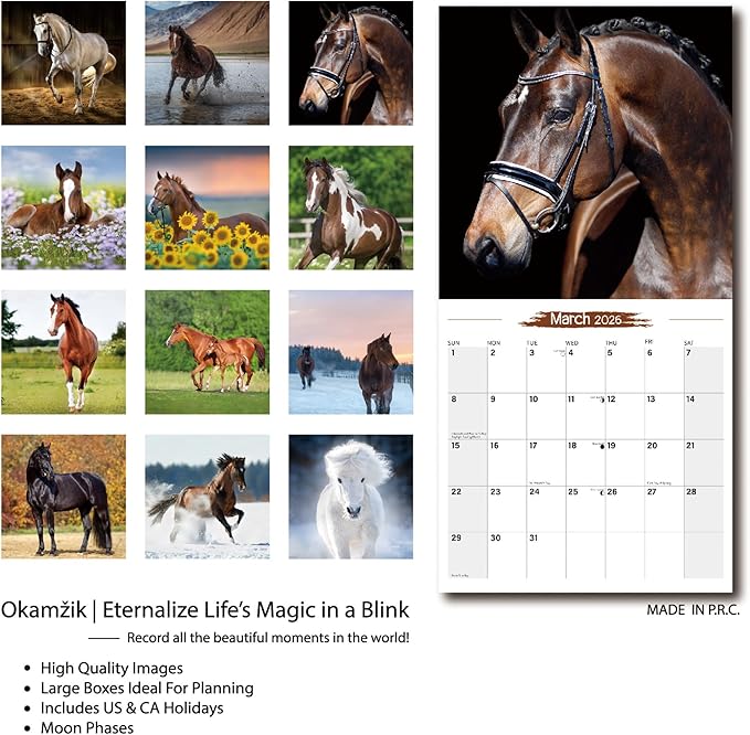 2026 Wall Calendar Horse Planner Calendar, Hangable Monthly Wall Calendar with Large Blocks for Organizing & Planning, Academic Schedule, Home, Office & family, Thick & Sturdy Paper (12"x24" Open)