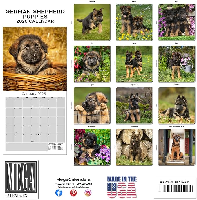 German Shepherd Pups Calendar 2026 by MegaCalendars – Monthly Dog Breed Wall Calendar, Made in USA
