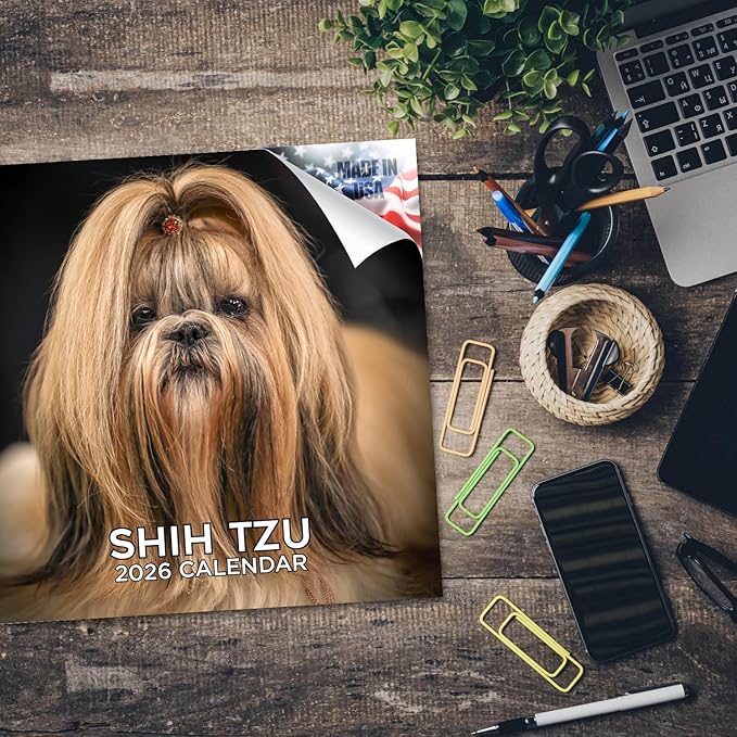 Shih Tzu Calendar 2026 by MegaCalendars – Monthly Dog Breed Wall Calendar, Made in USA