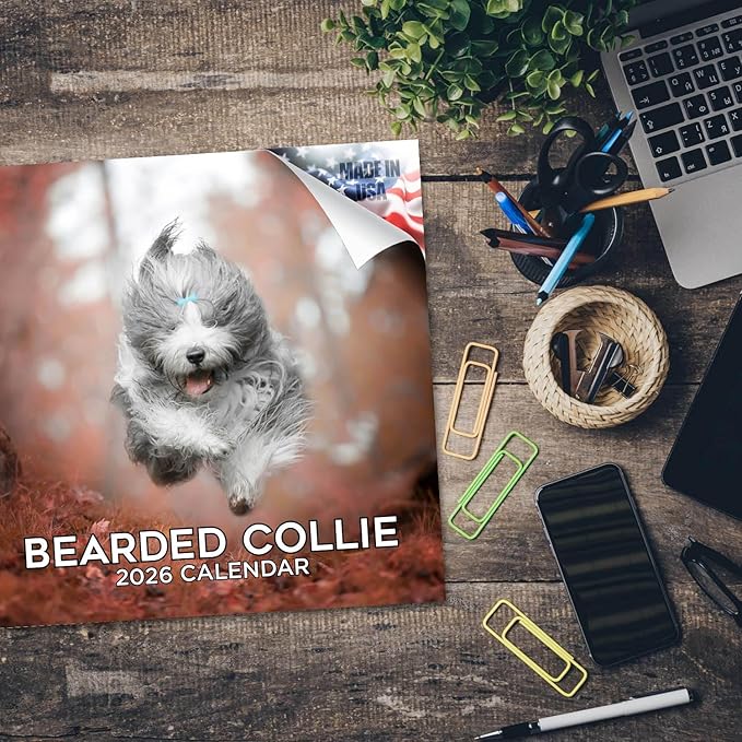 Bearded Collie Calendar 2026 by MegaCalendars – Monthly Dog Breed Wall Calendar, Made in USA