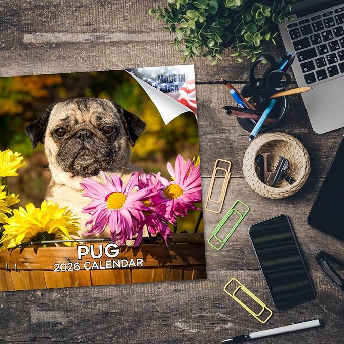Pug Calendar 2026 by MegaCalendars – Monthly Dog Breed Wall Calendar, Made in USA