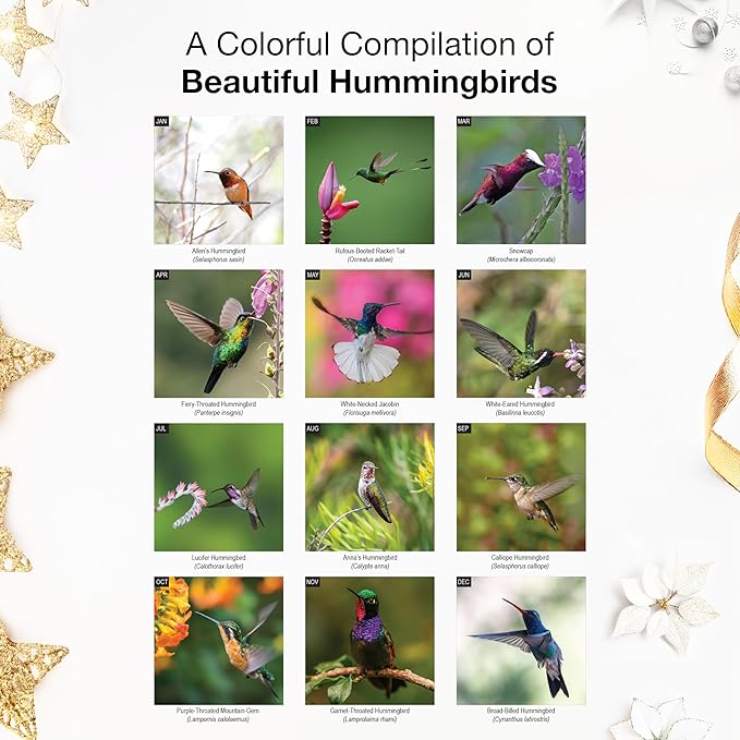 RED EMBER Select - Hummingbirds 2026 Wall Calendar 12 Month | 12" x 24" Open | Thick & Sturdy Paper | Giftable | Bird Calendar 2026