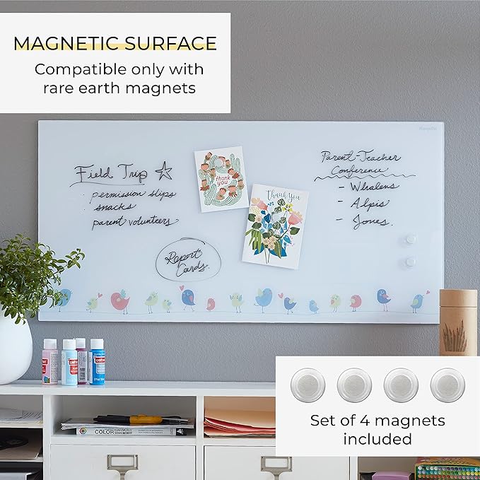 ECR4Kids MessageStor Magnetic Dry-Erase Glass Board with Magnets, 18in x 36in, Wall-Mounted Whiteboard, Birds
