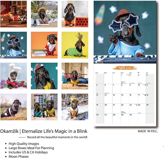 Wall Calendar 2026 Planner Calendar - Fashionable Fun Dachshund Hangable Monthly Wall Calendar with Large Blocks for Organizing & Planning, Academic Schedule, Home, Office & family, Thick & Sturdy Paper (12"x24" Open)