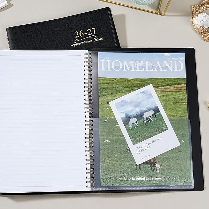 Appointment Book/Planner 2026-2027 - Weekly Appointment Book 2026-2027, July 2026 - June 2027, Daily/Hourly Planner with Tabs, 15 Minutes, 8.26" x 11.4", Wirebound - Black