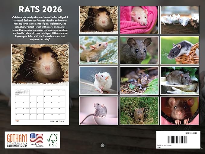 Rat Calendar 2026 Monthly Wall Calender 12 Month | American Made In The USA