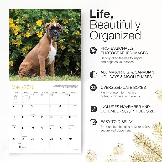 RED EMBER Select - Boxers 2026 Wall Calendar 12 Month | 12" x 24" Open | Thick & Sturdy Paper |Giftable | Cute Puppy Dog Calendar 2026