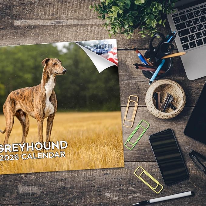 2025 2026 Greyhound Calendar - Dog Breed Monthly Wall Calendar - 12" x 18" Open - Thick No-Bleed Paper - Giftable - Academic Teacher's Planner Calendar Organizing & Planning - Made in USA