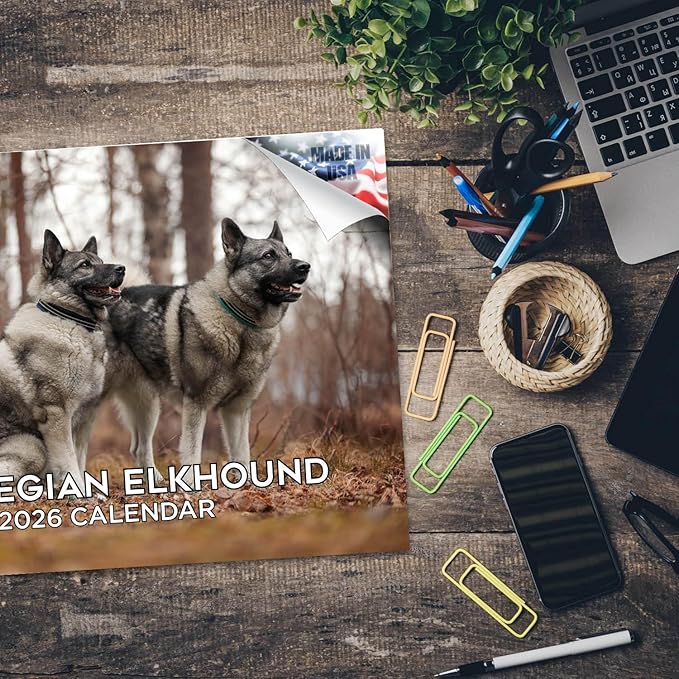2025 2026 Norwegian Elkhound Calendar - Dog Breed Monthly Wall Calendar - 12" x 18" Open - Thick No-Bleed Paper - Giftable - Academic Teacher's Planner Calendar Organizing & Planning - Made in USA