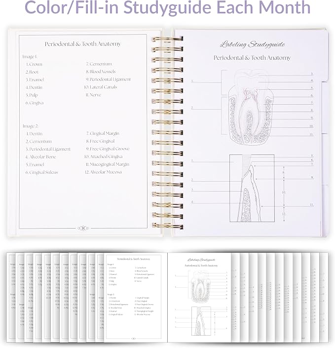 The Dental Hygiene Student Planner - inspireRDH