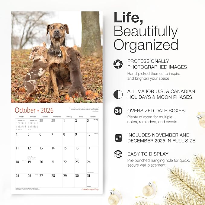 RED EMBER Catahoula Leopard Dogs 2026 Wall Calendar 12 Month | 12" x 24" Open | Thick & Sturdy Paper | Giftable | Cute Puppy Dog Calendar 2026