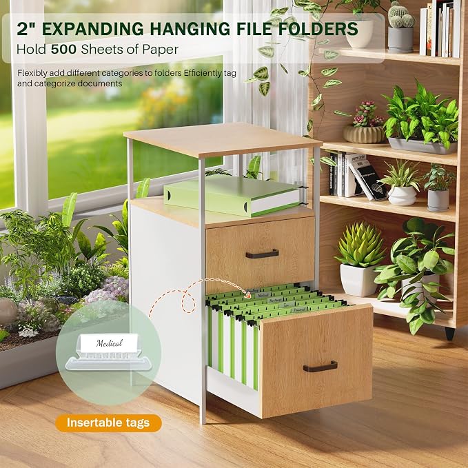 Green Hanging File Folders, 2" Expandable Green File Folders Hanging Folders Expanding Hanging File Folder, Plastic Hanging Files Folders with Tabs & Expandable Bottom, Lette Size, 12 Pack