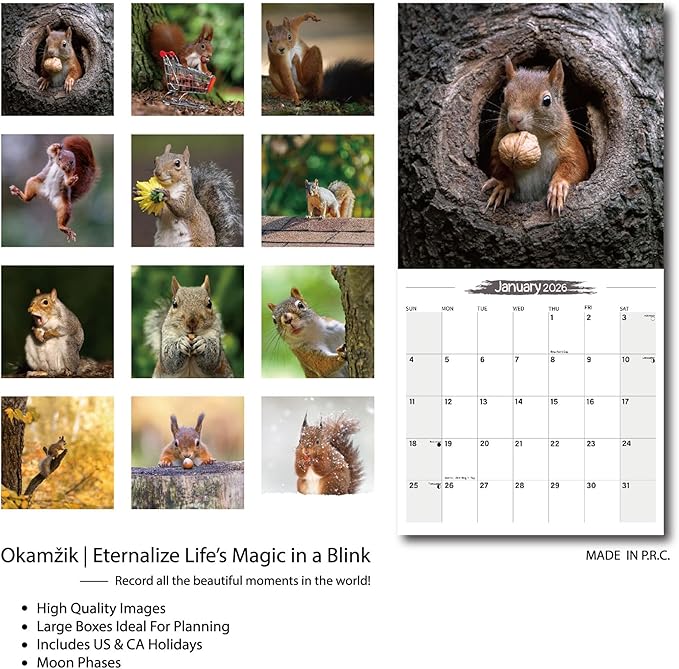 2026 Wall Calendar Squirrel Planner Calendar, Hangable Monthly Wall Calendar with Large Blocks for Organizing & Planning, Academic Schedule, Home, Office & family, Thick & Sturdy Paper (12"x24" Open)