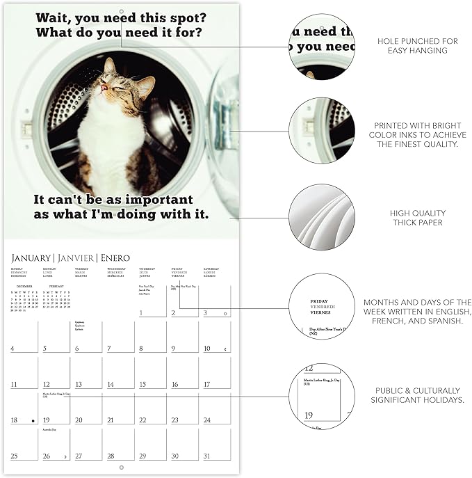 Graphique 2026 Nuthin' But Trouble Mini Wall Calendar | 7” x 7” | Thick Paper | Home & Office Organizer | Large Monthly Grid | 3 Languages & Marked Holidays | 4 Month Preview Page for 2027