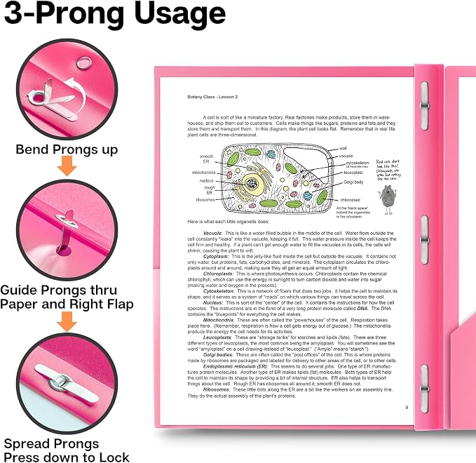Dunwell Pastel Folders with Prongs (6 Pack), Aesthetic Back to School Supplies, 2 Pocket 3-Prong Color-Coded Plastic Folders for School, Labels Included