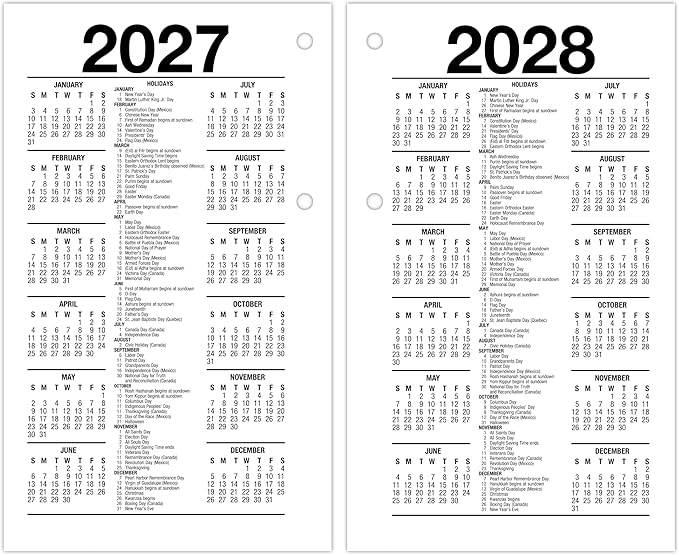 AT-A-GLANCE 2026 Desk Calendar Refill, Daily, 3.5" x 6", Standard, Loose-Leaf (E717T5026)