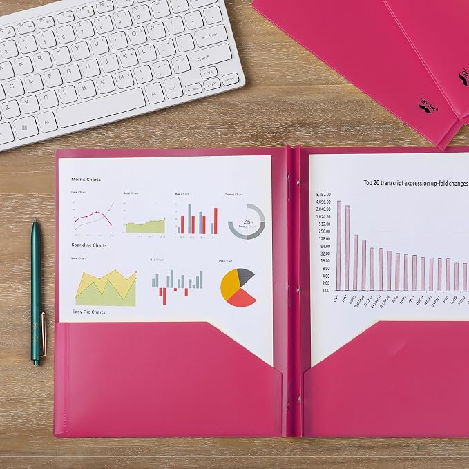 Mr. Pen- Plastic Folders with Pockets and Prongs, 24 Pack, Letter Size, Pink, Flexible Plastic Folders with Prongs
