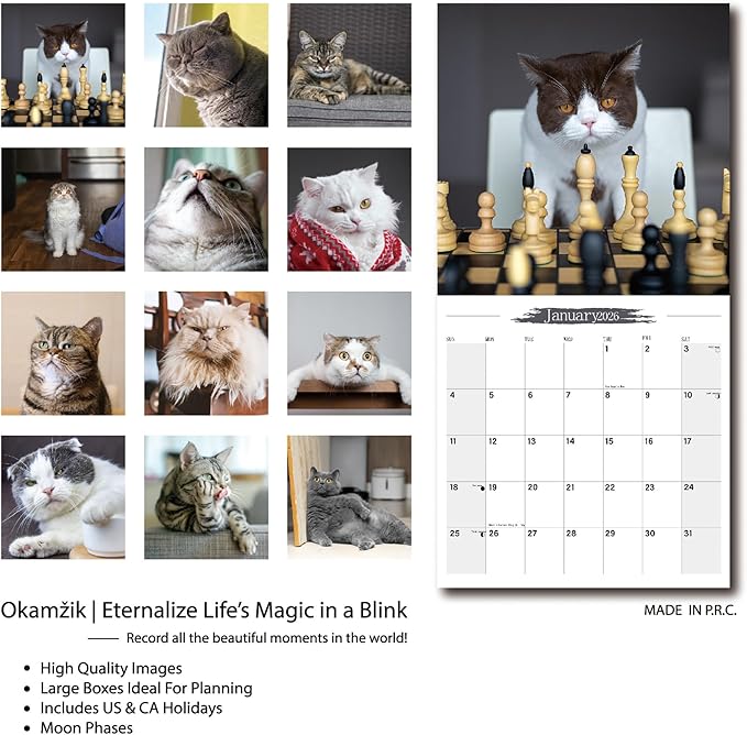 Wall Calendar 2026 Planner Calendar - Cat Memes Hangable Monthly Wall Calendar with Large Blocks for Organizing & Planning, Academic Schedule, Home, Office & family, Thick & Sturdy Paper (12"x24" Open)