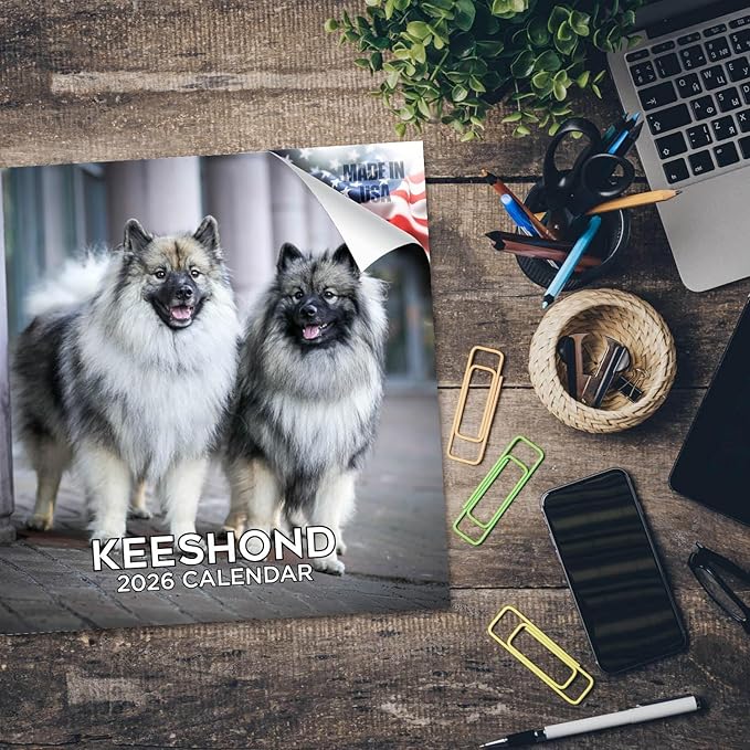 Keeshond Calendar 2026 by MegaCalendars – Monthly Dog Breed Wall Calendar, Made in USA