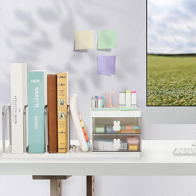 LETURE Desk Organizer with 2 Drawer, Pen Pencil Mail File Holder for Desk with Detachable Bookend, Stationery Accessories Storage Box for Office Supplies, Makeup, Jewelry for Home, Office (White)