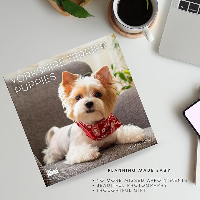 Yorkshire Puppy 2026 Wall Calendar | 12" x 24" Open | Dog Calendar Photography Thick & Sturdy Paper for Planning | Office Kitchen Decor or Gift | Pacific Waters Press (Yorkshire Terrier Puppies)