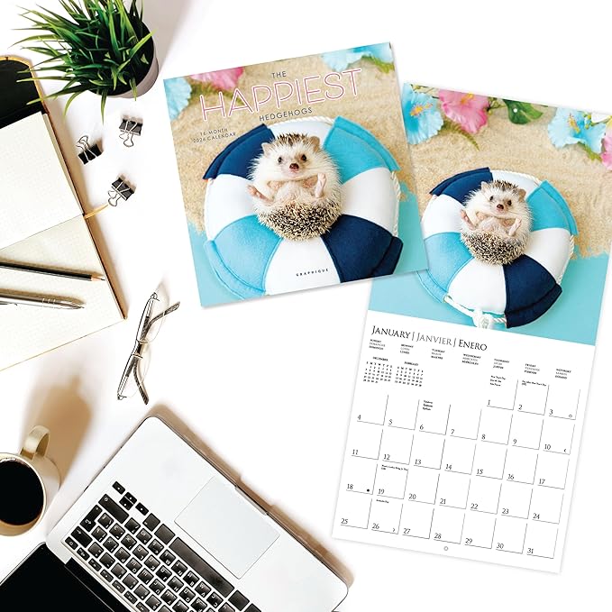 Graphique 2026 Happiest Hedgehogs Mini Wall Calendar | 7” x 7” | Thick Paper | Home & Office Organizer | Large Monthly Grid | 3 Languages & Marked Holidays | 4 Month Preview Page for 2027