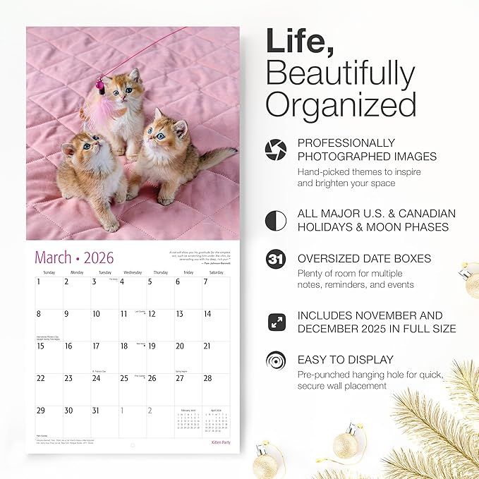 RED EMBER Select - Kitten Party 2026 Wall Calendar 12 Month | 12" x 24" Open | Thick & Sturdy Paper | Giftable | Cute Kitten Cat Calendar 2026