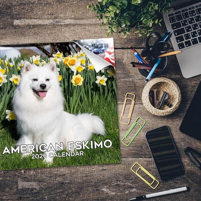 American Eskimo Calendar 2026 – 16-Month Dog Breed Wall Calendar by MegaCalendars – Large Daily Blocks, Thick No-Bleed Paper, Made in USA