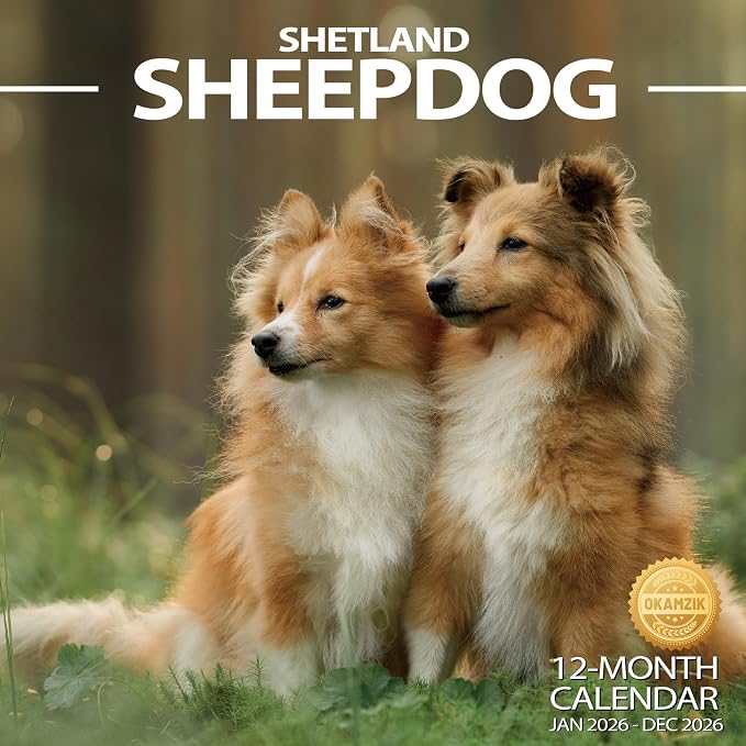 2026 Wall Calendar Shetland Sheepdog Planner Calendar, Hangable Monthly Dogs Wall Calendar with Large Blocks for Organizing & Planning, Academic Schedule, Home, Office & family, Thick & Sturdy Paper (12"x24" Open)