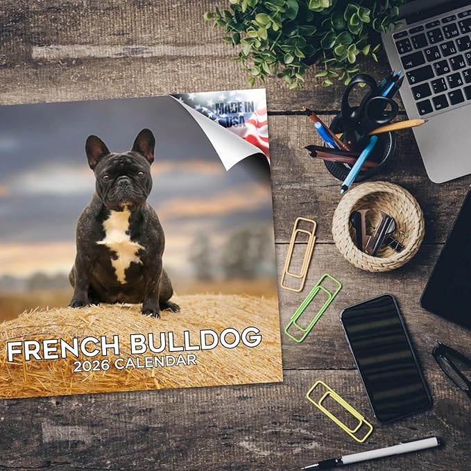 French Bulldog Calendar 2026 – 16-Month Dog Breed Wall Calendar by MegaCalendars – Large Daily Blocks, Thick No-Bleed Paper, Made in USA