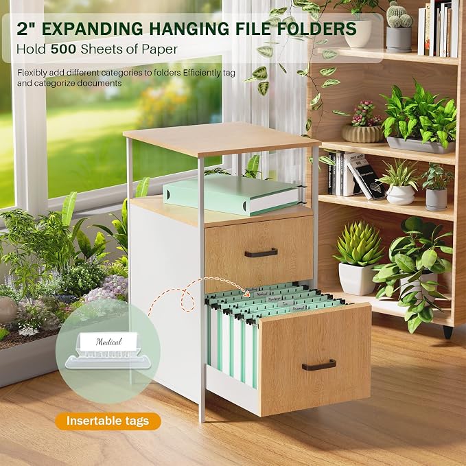 12 Pack 2 Inch Expansion Letter Size Hanging File Folders, Green File Folders Hanging, Hanging Folder with Adjustable Tab, Extra Capacity Filing Folders Hanging for School Office Supplies