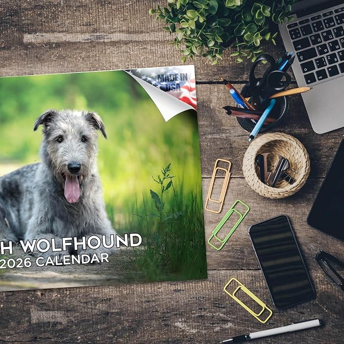 2025 2026 Irish Wolfhound Calendar - Dog Breed Monthly Wall Calendar - 12" x 18" Open - Thick No-Bleed Paper - Giftable - Academic Teacher's Planner Calendar Organizing & Planning - Made in USA