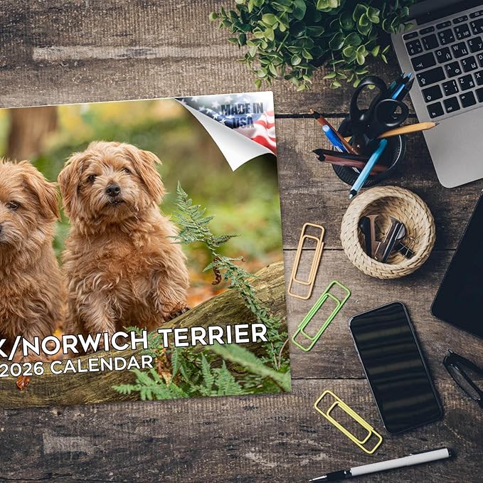 2025 2026 Norfolk/Norwich Calendar - Dog Breed Monthly Wall Calendar - 12" x 18" Open - Thick No-Bleed Paper - Giftable - Academic Teacher's Planner Calendar Organizing & Planning - Made in USA
