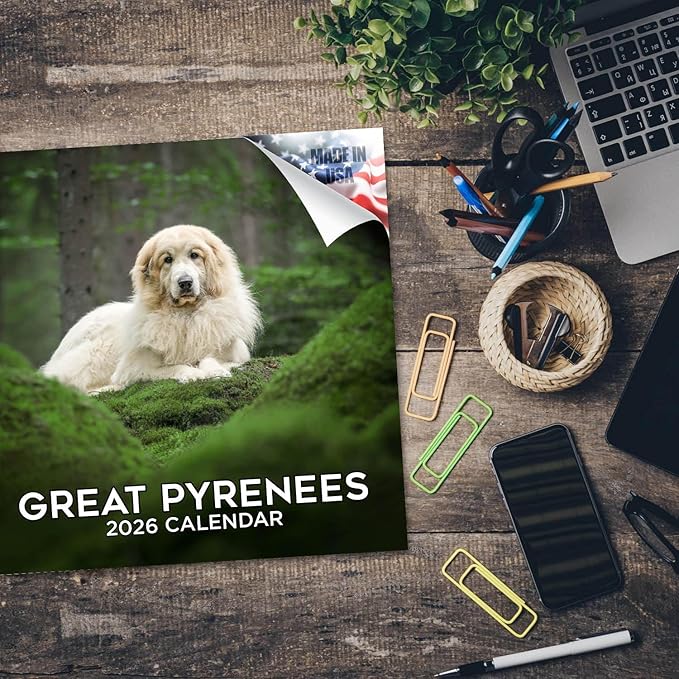 Great Pyrenese Calendar 2026 by MegaCalendars – Monthly Dog Breed Wall Calendar, Made in USA