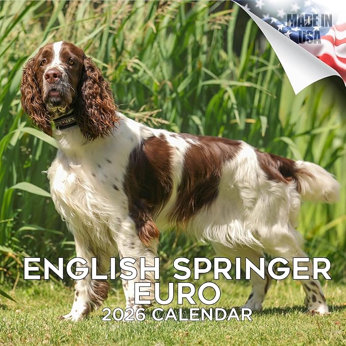 English Springer EU Calendar 2026 by MegaCalendars – Monthly Dog Breed Wall Calendar, Made in USA