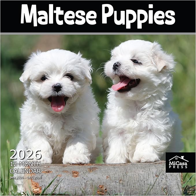 MICASA PRESS Maltese Puppies 2026 Wall Calendar 12 Month | 12" x 24" Open | Thick & Sturdy Paper | Giftable | Cute Puppy Dog Calendar 2026