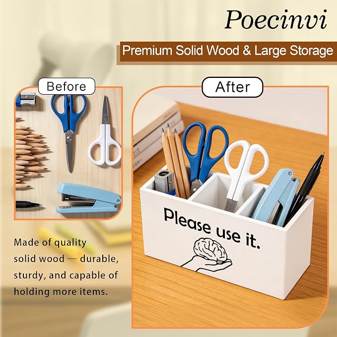 Sarcastic Funny Brain Pen Holder for Home Office Desk, Funny Office Gifts for Coworkers, Please use It Humorous Wooden Box Sign Pencil Holder for Desk Shelf Organizer