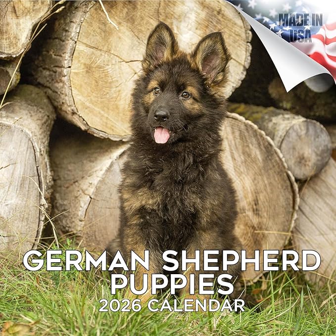 German Shepherd Pups Calendar 2026 by MegaCalendars – Monthly Dog Breed Wall Calendar, Made in USA