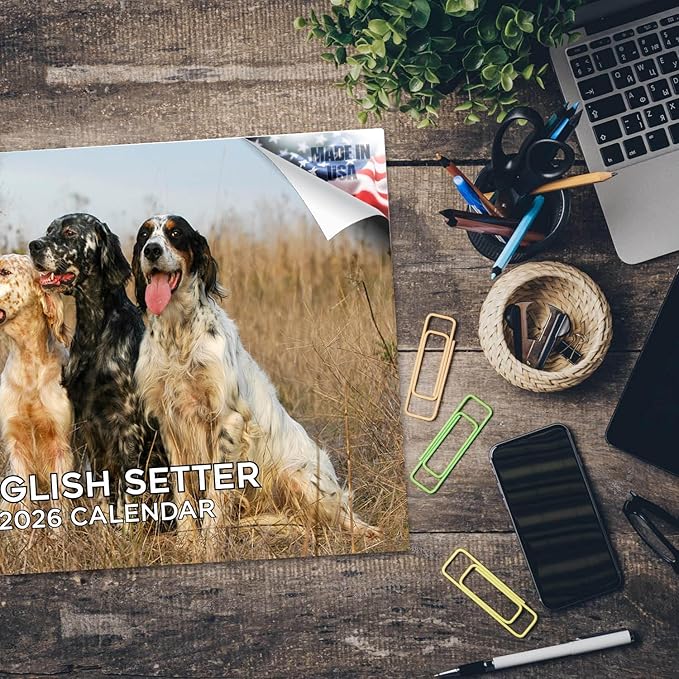 2025 2026 English Setter Calendar - Dog Breed Monthly Wall Calendar - 12" x 18" Open - Thick No-Bleed Paper - Giftable - Academic Teacher's Planner Calendar Organizing & Planning - Made in USA