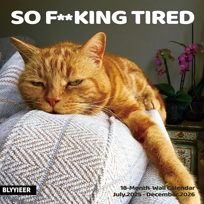 2026 Wall Calendar,Cat Calendar 2026,So Tired cat Monthly Wall Calendar, 12" x 24" Open,Family Planner Calendar Organizer with Cat Tired Funny Expression Moment Images, for Cats Lovers
