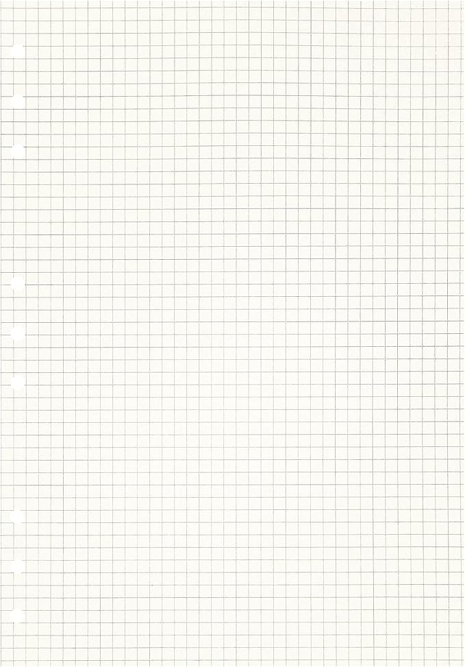 Zelten 2 Pack B5 90 Sheets/180 Pages Squared Loose Leaf Punched Paper Refills Paper for 9 Hole Binder Personal Organizer Diary Notebook Refillable Planner