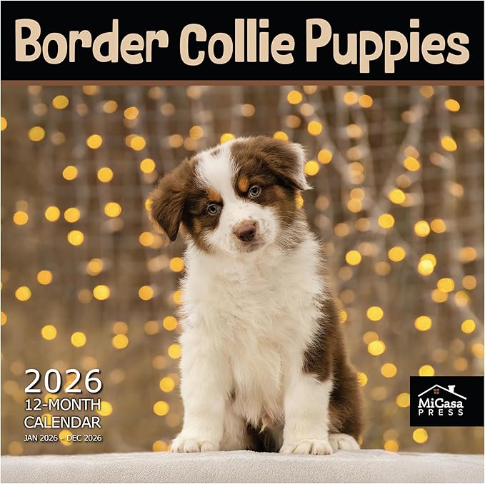 MICASA PRESS Border Collie Puppies 2026 Wall Calendar 12 Month | Thick & Sturdy Paper | Giftable | Cute Puppy Dog Calendar 2026