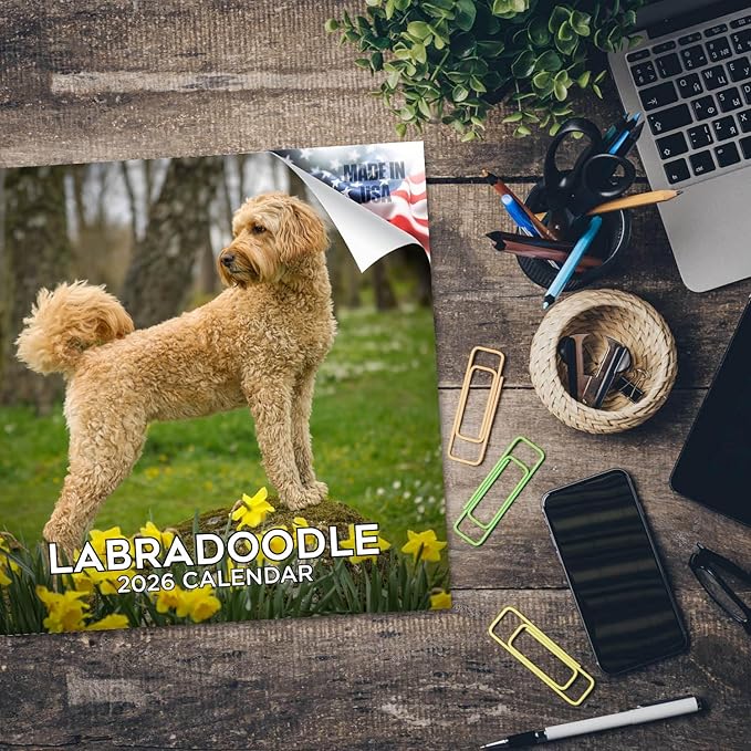 Labradoodle Calendar 2026 by MegaCalendars – Monthly Dog Breed Wall Calendar, Made in USA